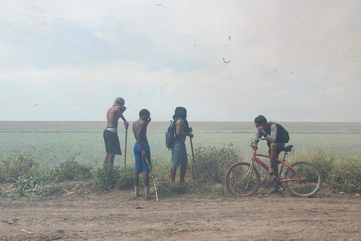 'The Rabbit Hunt', 2016, video de Ivete Lucas y Patrick Bresnan. 