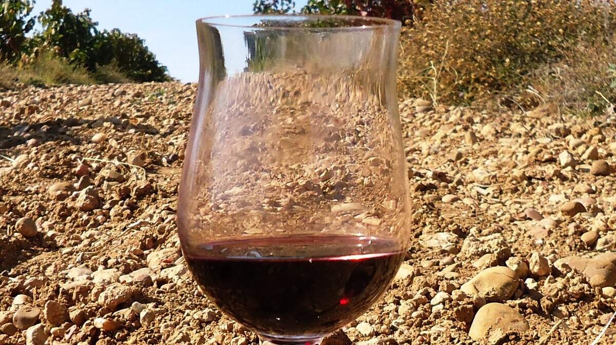 La Ruta del vino Cigales es una organización que invita a vivir experiencias vinculadas a la cultura del vino de la región.