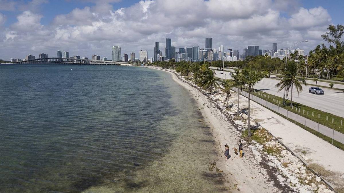 Los peatones ignoran la cerca y cruzan hacia un área cerrada de la playa a lo largo de Rickenbacker Causeway el martes 16 de octubre de 2018. Grandes áreas de las playas han estado cerradas desde el huracán Irma.