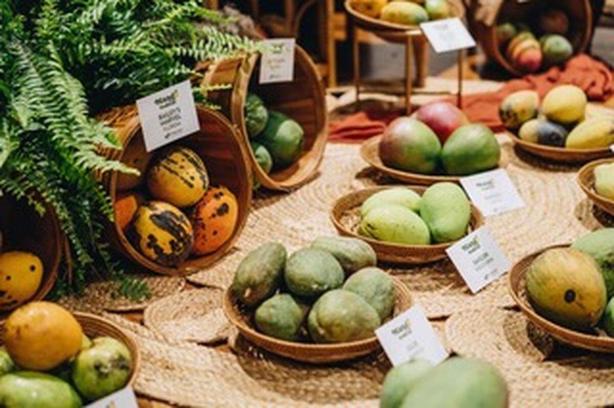 El Mango Festival de Fairchild regresa con degustaciones, brunches especiales, música en vivo y más de 400 variedades de la fruta más celebrada.