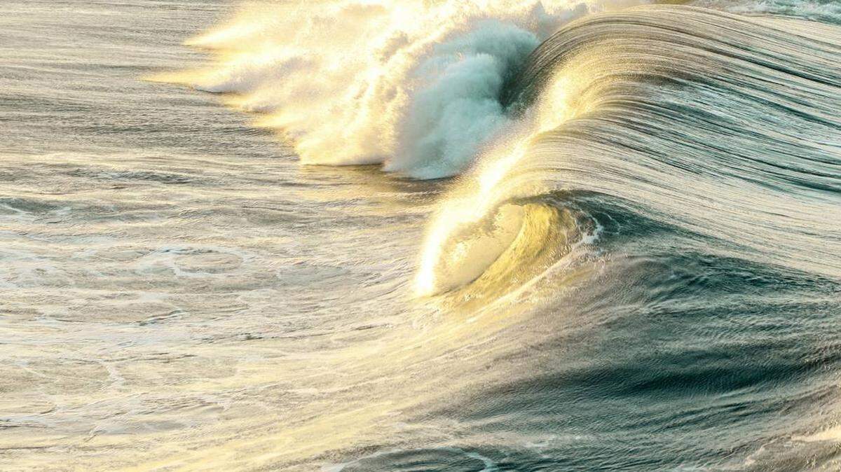 Una ballena de aleta de 40 pies murió después de ser varada en Torrance Beach en el sur de California, dicen los socorristas. Foto de Jeremy Bishop vía Unsplash