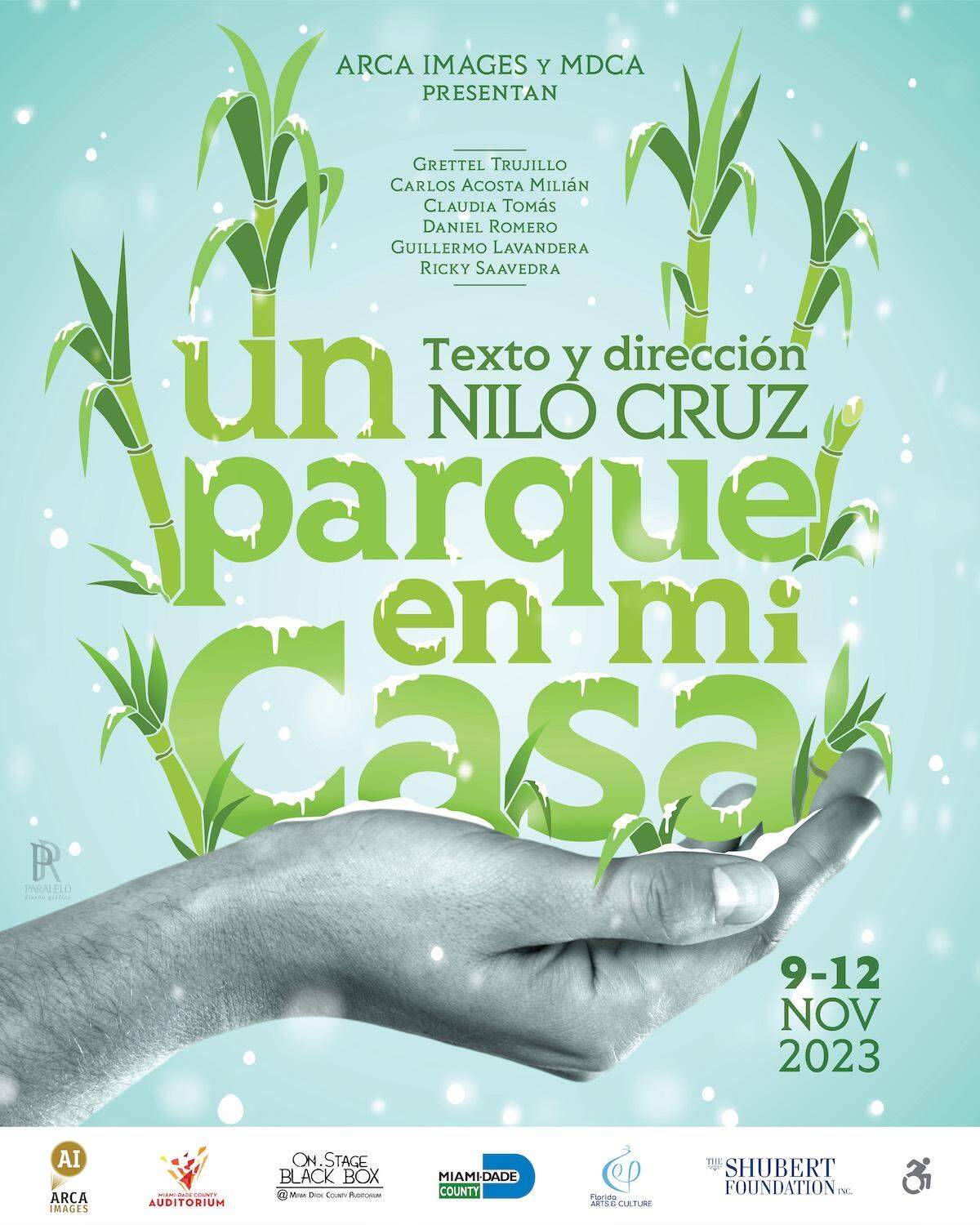 Poster promocional 
