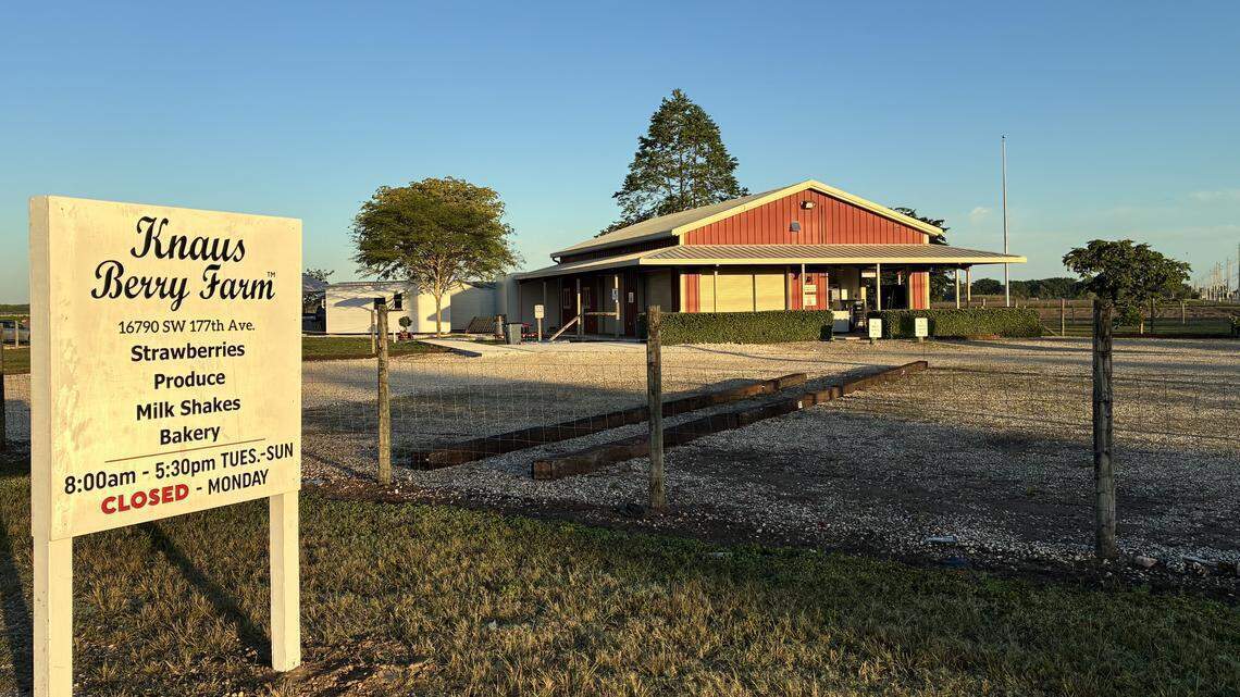 Una de las aperturas más esperadas del año en Miami: Así es la nueva Knaus Berry Farm en Redland