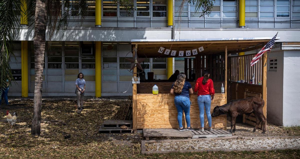 Vista de “La Finka”, una pequeña granja dentro de la escuela secundaria Palm Springs en Hialeah, donde se imparte una clase de agrociencia, veterinaria con el propósito de impartir responsabilidad en los estudiantes