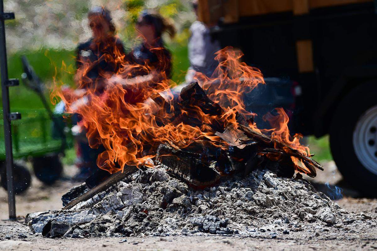 Las BBQ son las grandes protagonistas.