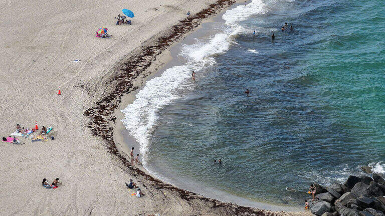 Florida registra la primera muerte de 2026 en EEUU por una bacteria carnívora en el mar