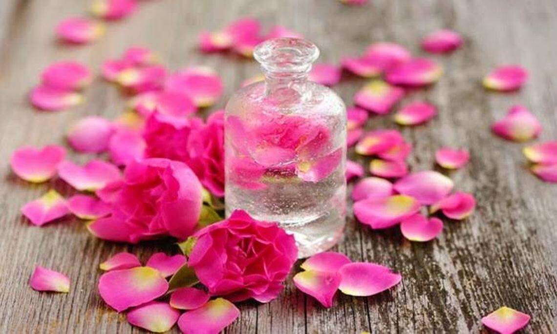 Aries, tu baño de fin de año para despojarte de todo lo negativo que te pueda quedar del 2024, deberá ser con agua de rosas y pétalos de rosas rojas.