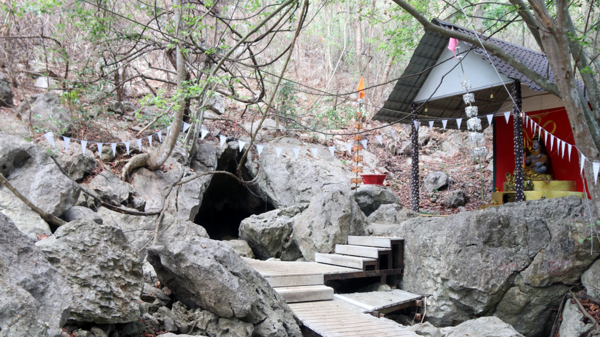 Encuentran una criatura de “gran” tamaño y “largas” patas en una caverna de Tailandia. Se trata de una nueva especie de lagartija.