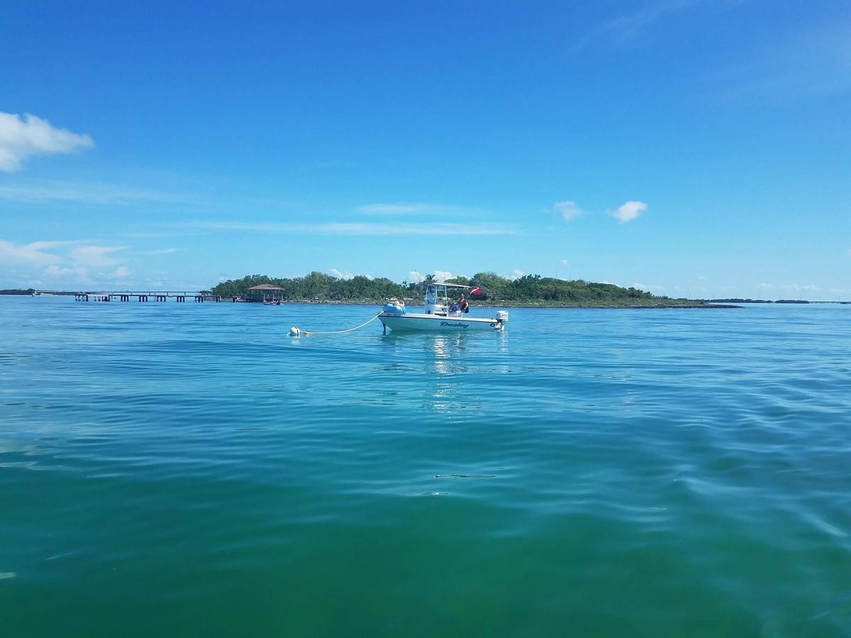 Indian Key Historic Park se convirtió en la primera sede del condado de Dade, independiente de Key West. Es una pequeña isla de 11 acres, llena de vida salvaje y tranquilidad absoluta.