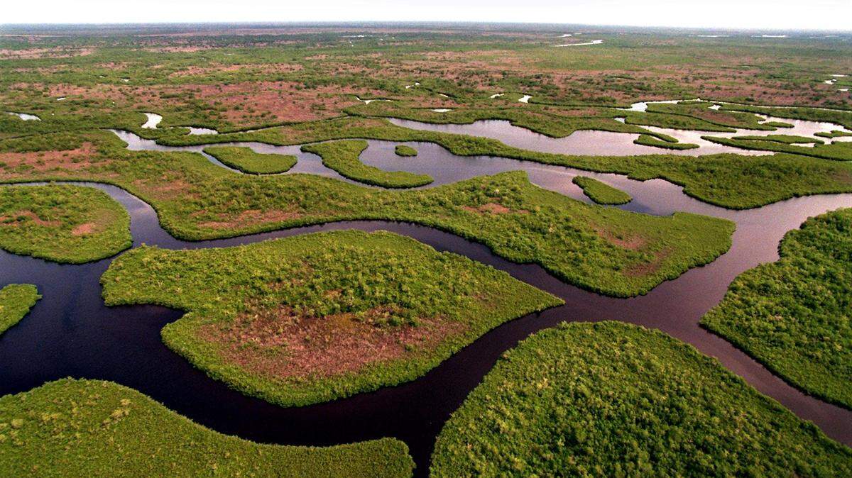 Una vista de un sector del Parque Nacional Everglades, en el sur de la Florida. Foto de archivo.