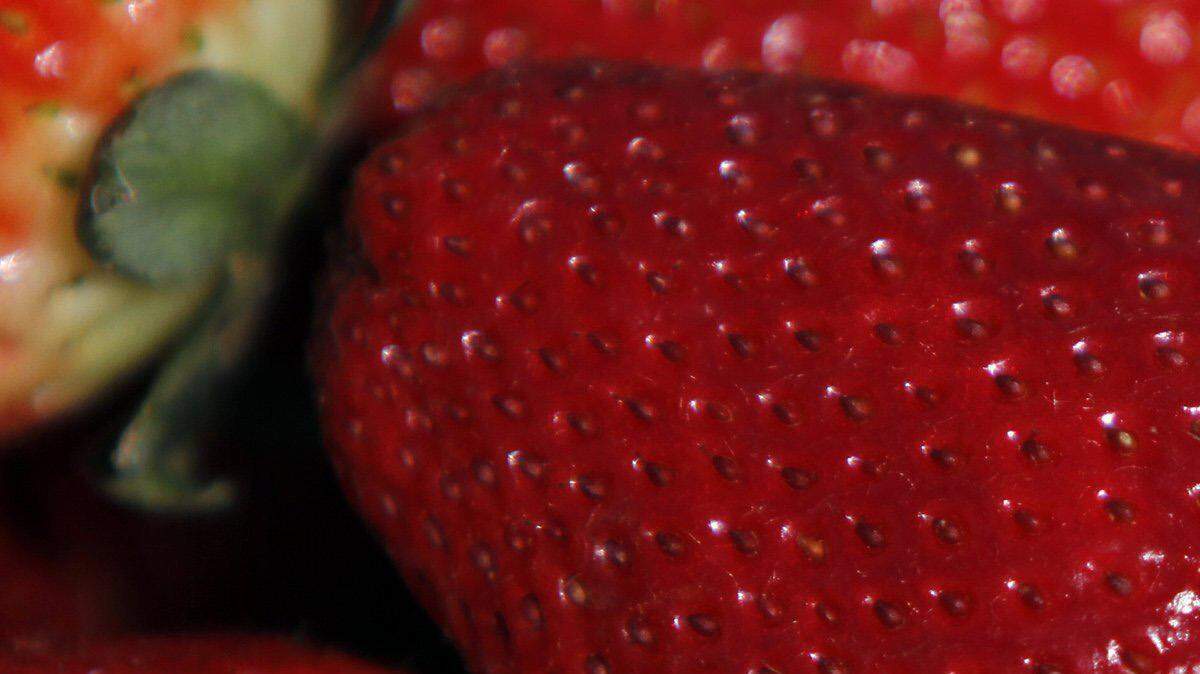 Las pepitas, tras la digestión gástrica, liberan una proporción de antioxidantes más elevada que la propia pulpa o parte roja de la fresa.