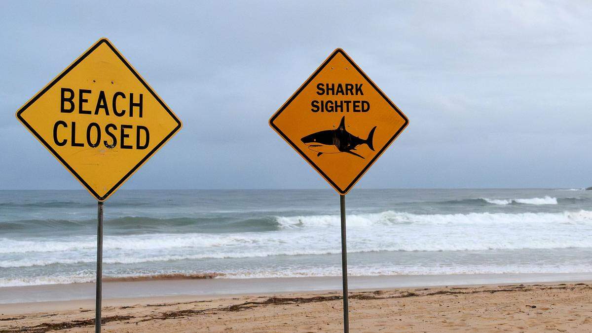 Signs for the temporary closure of a beach due to the sighting of sharks are seen on North Steyne Beach in Manly, in Sydney, New South Wales on January 19, 2026. A shark bit a surfer on January 20 in an Australian state's fourth attack recorded over the past 48 hours, authorities said. (Photo by Steven Markham / AFP via Getty Images)
