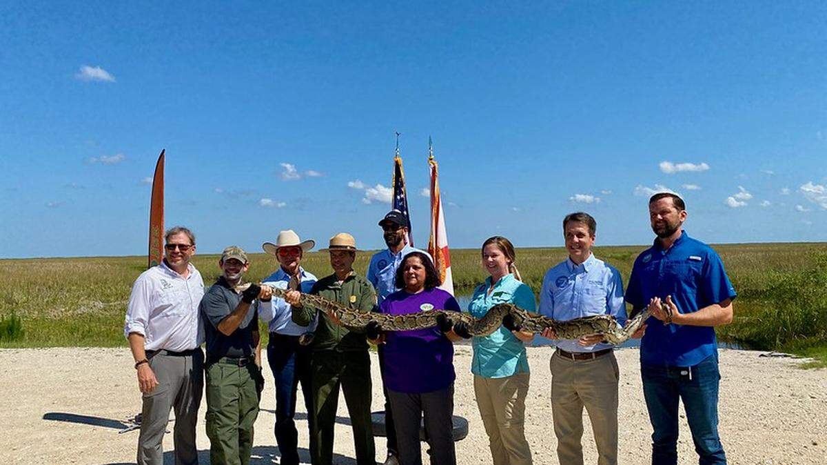 La Comisión de Conservación de Pesca y Vida Silvestre de Florida (FWC) anunció que ya están abiertas las inscripciones para el Florida Python Challenge™ 2025.