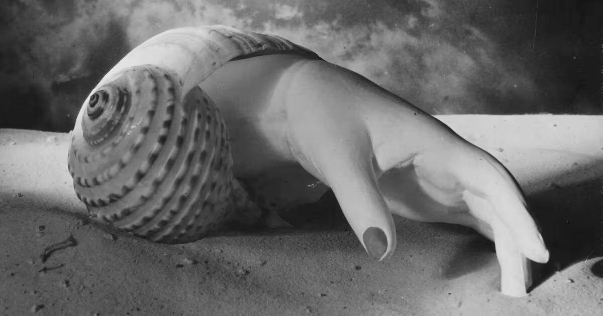 Collage de Dora Maar, ‘Sin título (mano-concha’).
