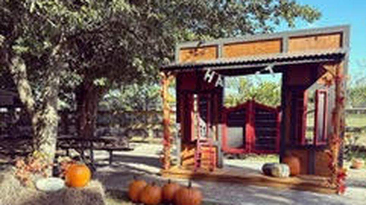 Little Farm Fall  es un simpático huerto de calabazas que existe desde hace casi cuatro décadas y ofrece mucho más que recoger estas frutas. 