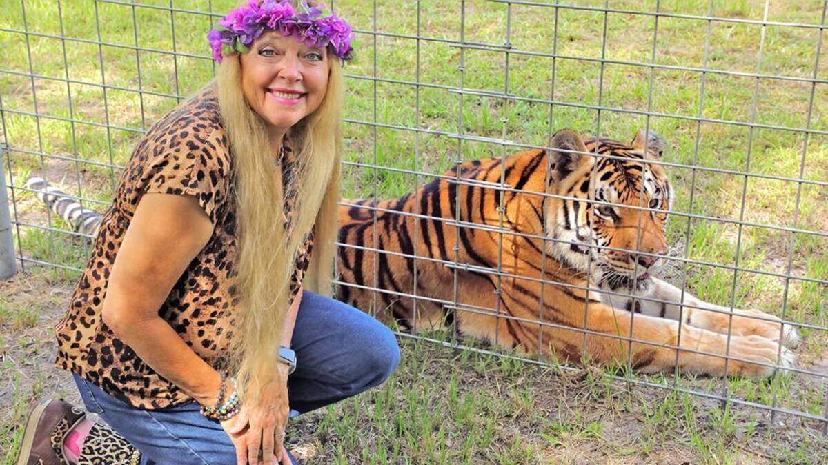La célebre activista de animales Carole Baskin lanzará la primera bola en un partido de béisbol de Liga Menor de la Florida en unas pocas semanas.