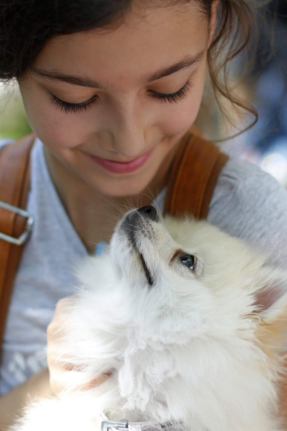 Una niña con su perro en la 10.ª Exhibición Anual Canina, el pasado mes de junio en Beirut. Es posible que podamos interpretar la cara de los perros con facilidad porque evolucionaron junto al ser humano durante más de 100.000 años. (AP /Hassan Ammar)