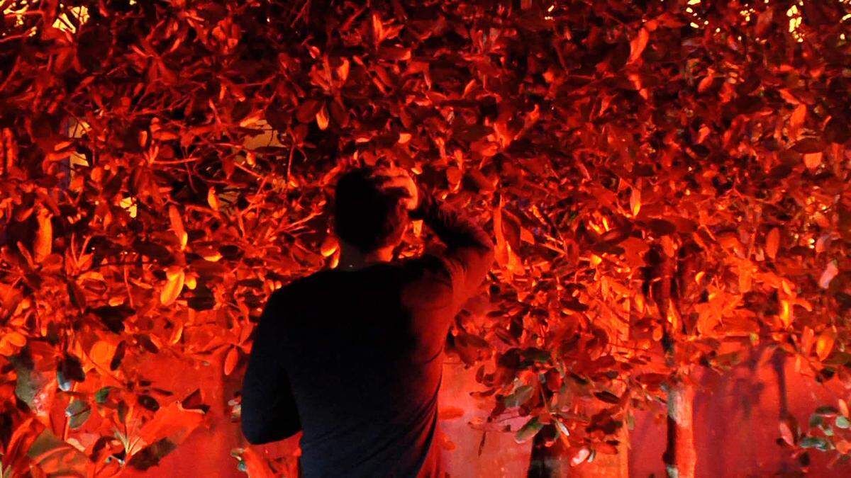 Los bomberos de Miami-Dade combatieron un incendio la madrugada del jueves en una vivienda que se cree pertenece al entrenador del Miami Heat, Erik Spoelstra, cerca de las calles Ponce y Davis en el sur del Condado Miami-Dade. Raffio Storace reliablenewsmedia@gmail.com