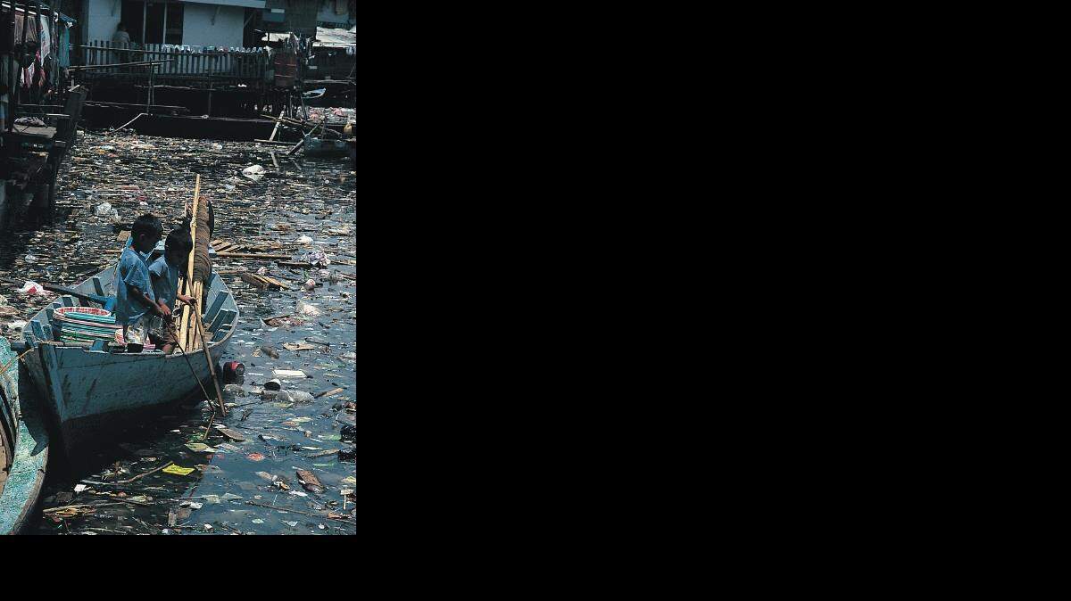 Contaminacion de la Bahia de Minamata en Japón.
