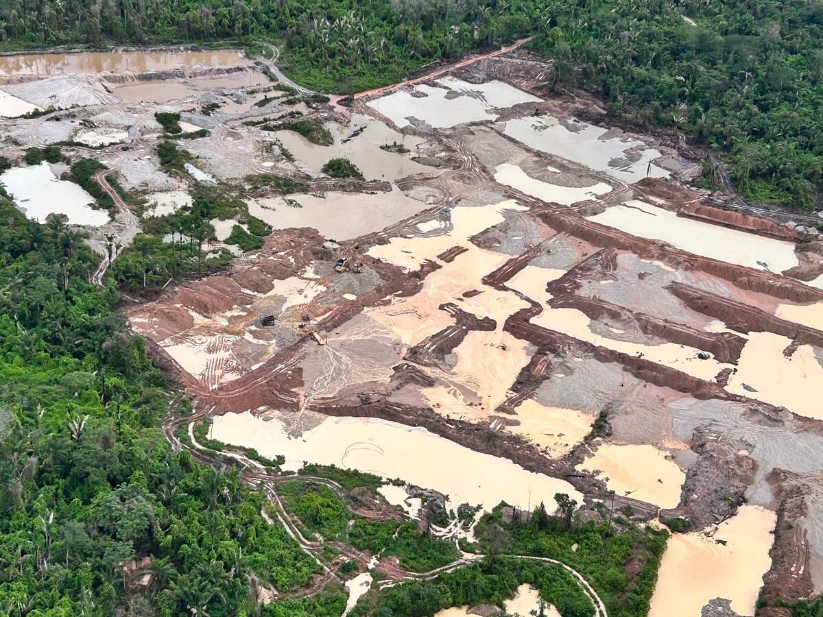 Vista aérea de áreas deforestadas y minería ilegal de oro en una zona del pueblo Kayapo, el 19 de marzo de 2025, Pará, Brasil.