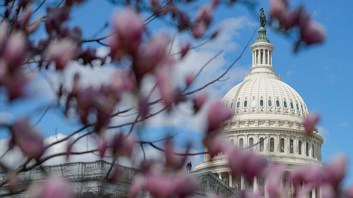 Magnolia trees bloom around the U.S. Capitol Building on March 17, 2026 in Washington, DC. The Senate is weighing President Donald Trump’s top legislative priority, the SAVE America Act, which requires ID and proof of citizenship to vote in federal elections.