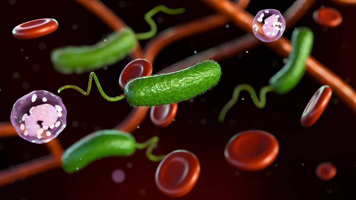 Representación en 3D de Vibrio vulnificus, glóbulos rojos y glóbulos blancos.