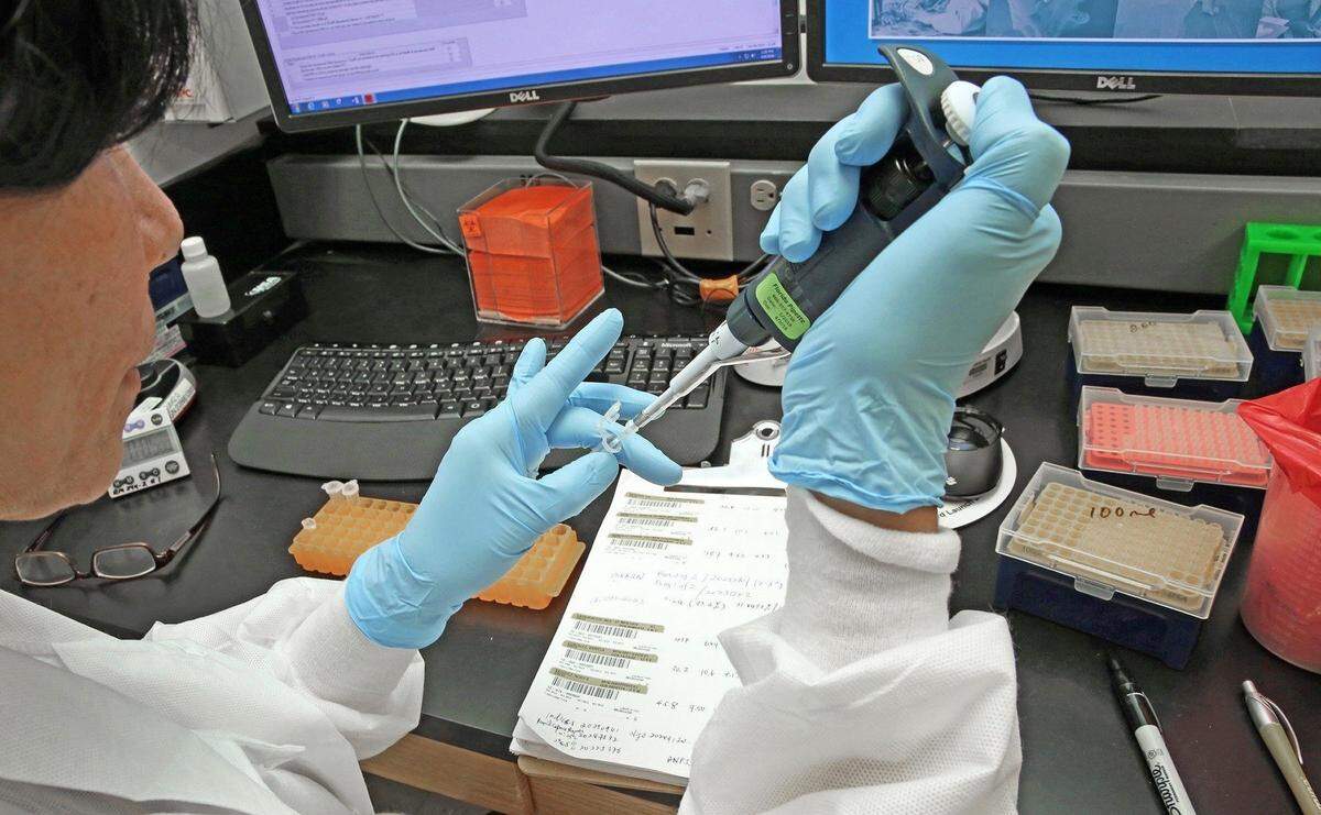 An effort kick-started by former Florida Gov. Jeb Bush to spur jobs in life sciences appears to be finally paying dividends, as more universities produce lab-ready workers.
