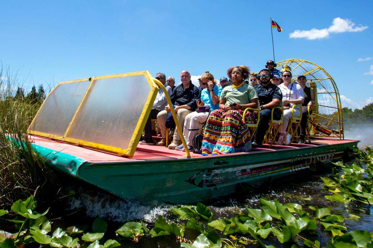 En el Everglades National Park puedes ver caimanes, grullas, tortugas, manatíes e incluso panteras deambulando libremente en su hábitat natural.