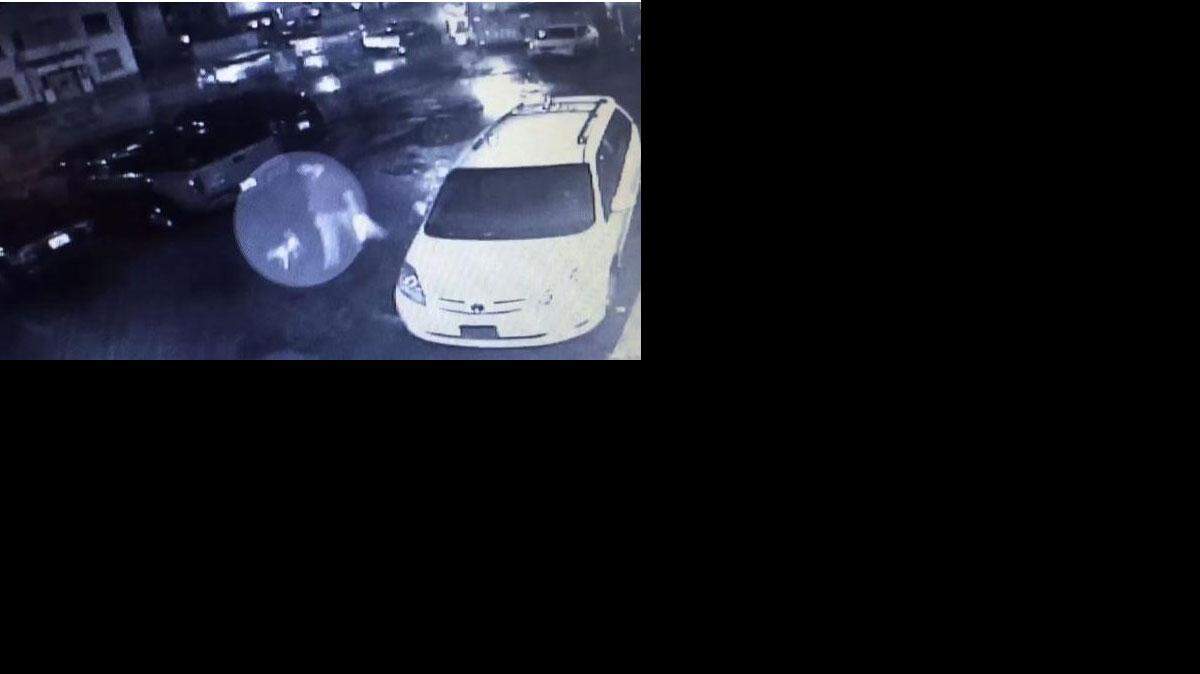 Video de vigilancia  muestra los momentos antes de que  un hombre fuera atropellado mientras paseaba a su perro en La Pequeña Habana.