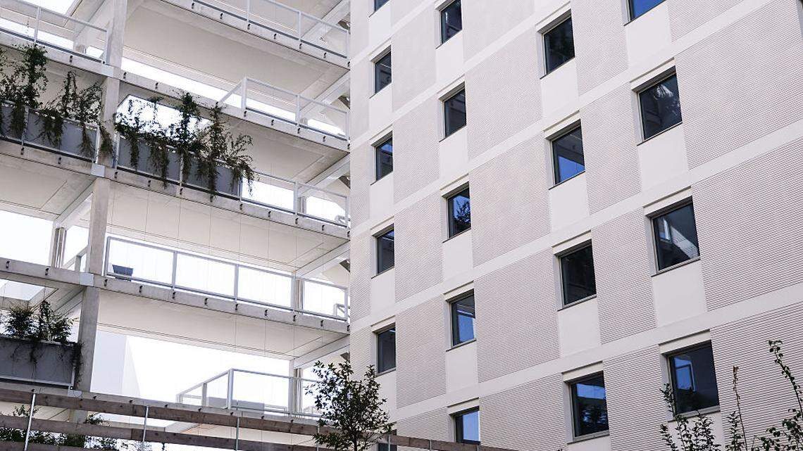 Un récord que no va a los libros: se agotan los 10,000 condones entregados a atletas en la Villa Olímpica