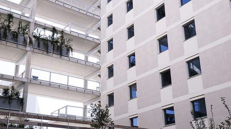 Un récord que no va a los libros: se agotan los 10,000 condones entregados a atletas en la Villa Olímpica