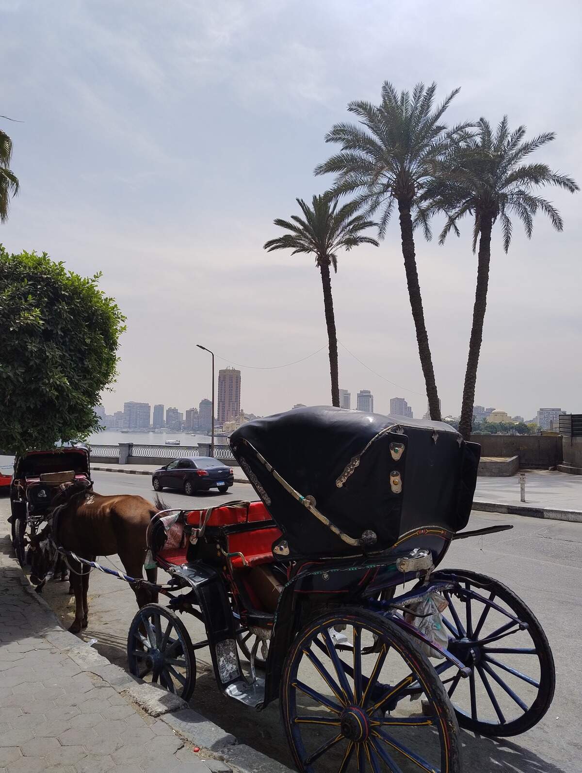 En las riberas del Nilo se ofrecen paseos en carruajes históricos.
