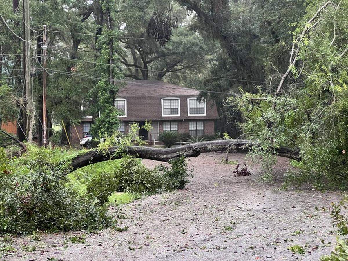 Daños causado por el huracán Debby que tocó tierra el 5 de agosto de 2024 en el norte de Florida,