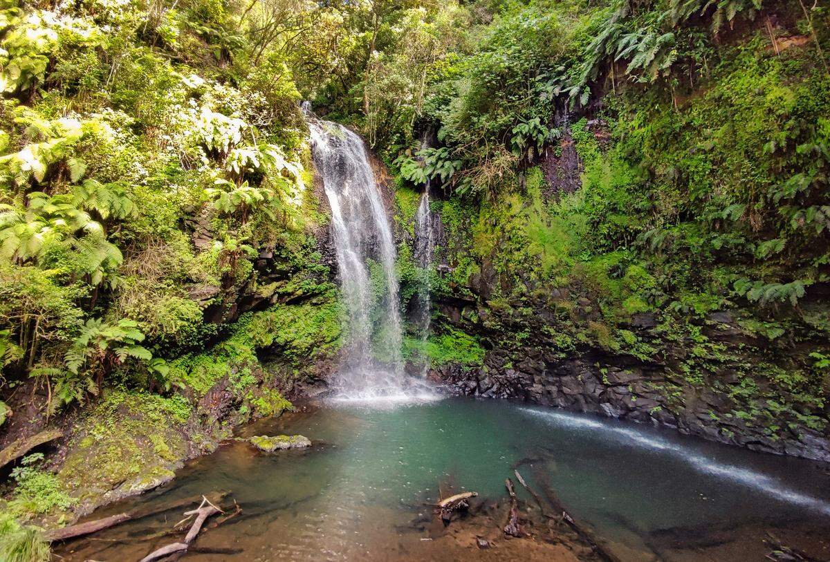 Cascada Parque Nacional de Ámbar.