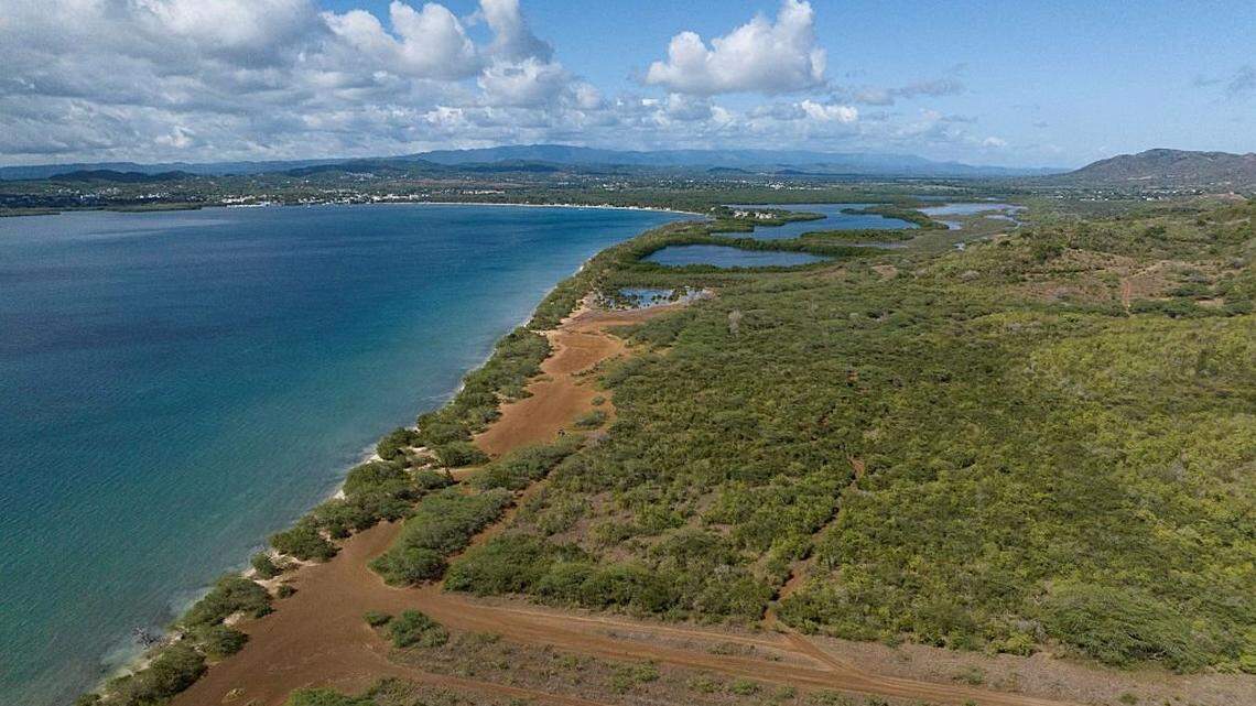 Miles protestan en Puerto Rico contra proyecto turístico-residencial en la costa suroeste