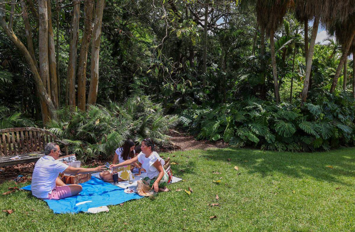 El domingo 15 de junio, este paraíso botánico se transforma en el mejor parque de aventuras para papá.