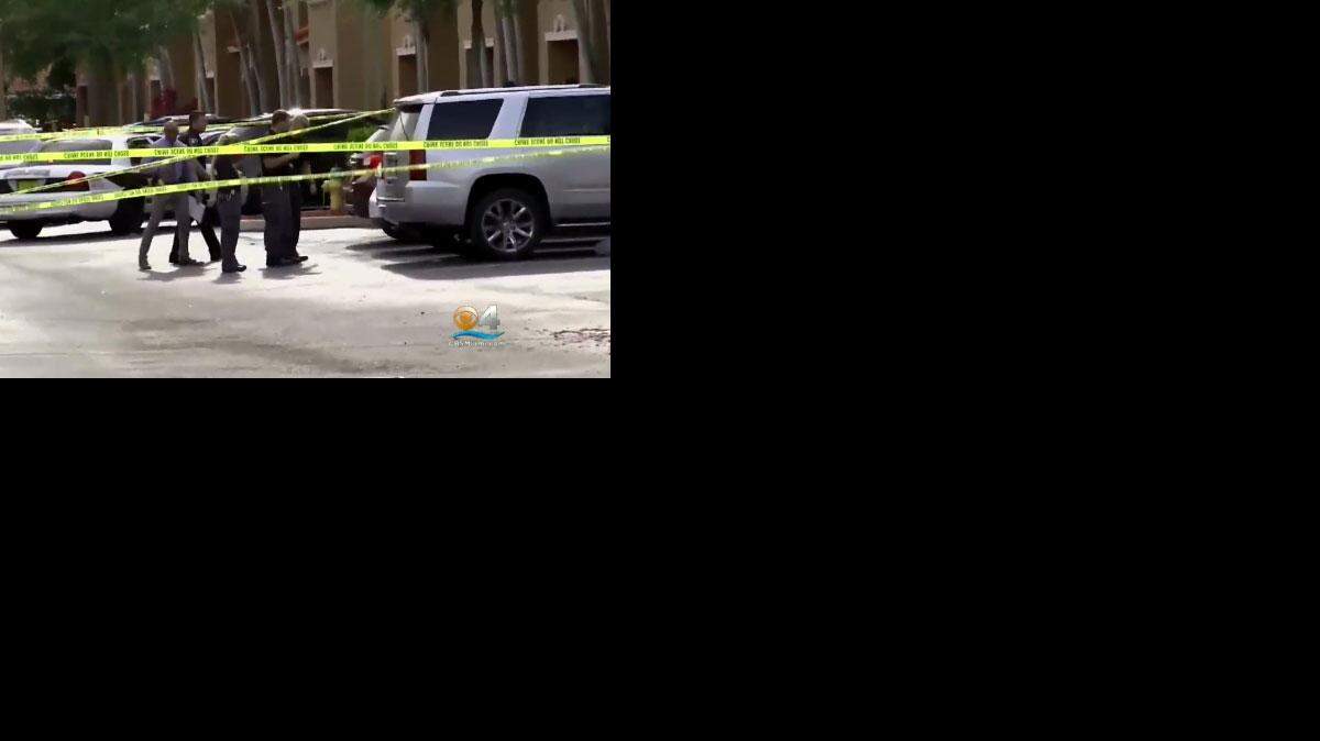 El incidente tuvo lugar a aproximadamente las 4:45 p.m. en el complejo de condominios Hampton Isles. Cortesía CBS4