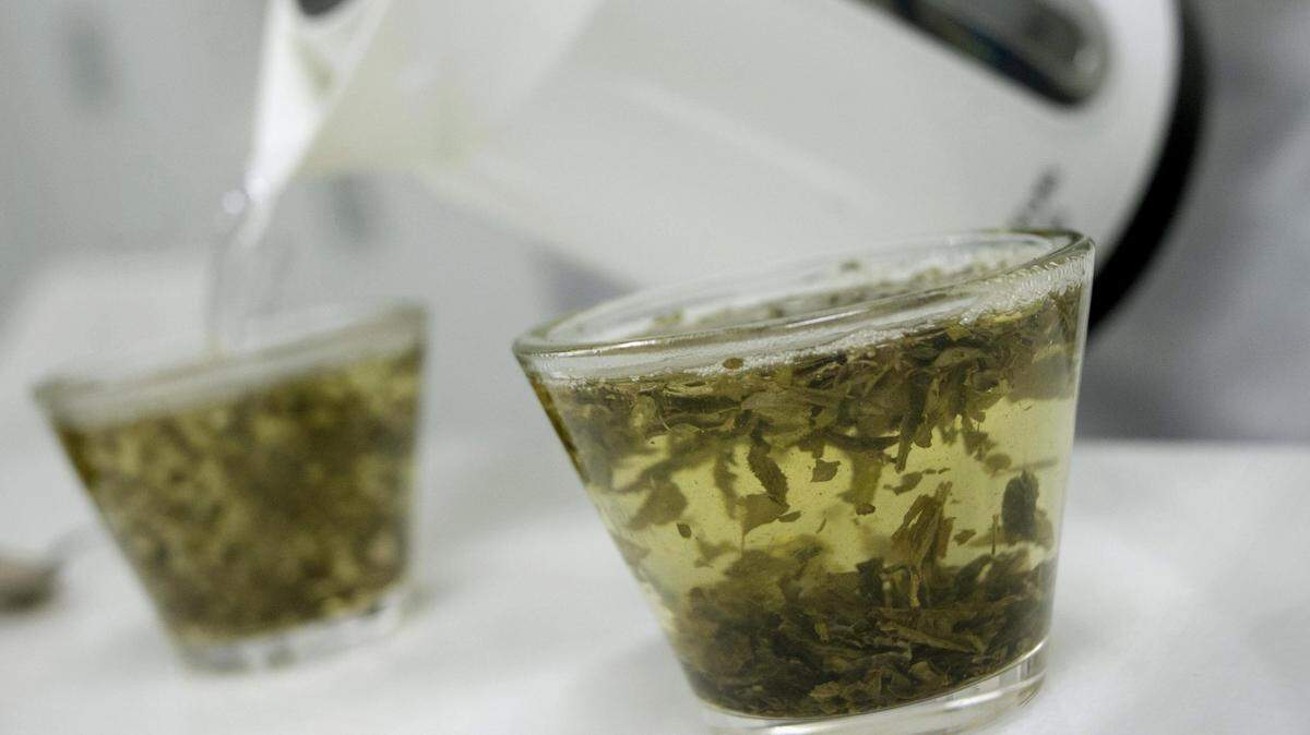 Se recomienda adquirir Equinácea en sus formas preparadas: ampollas, comprimidos, pastillas para chupar, en forma de gotas, extracto, todas las formas homeopáticas, infusión y en forma de caramelos.