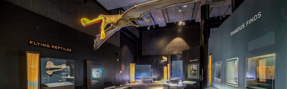 Exposición, “Pterosaurios:&nbsp;Vuelo en la era de los dinosaurios” en el Phillip and Patricia Frost Museum of Science.