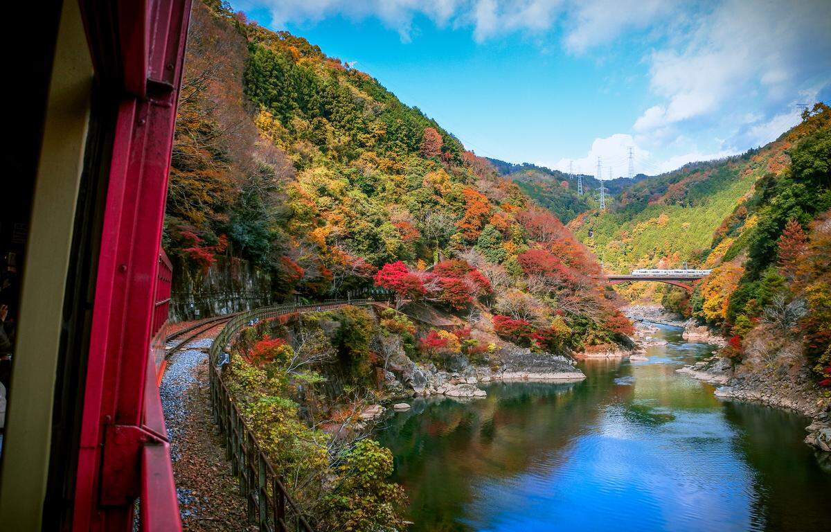 El tren Sagano Romantic Train, en el octavo puesto, recorre el bosque de bambú de Arashiyama, en la prefectura de Kioto, Japón.