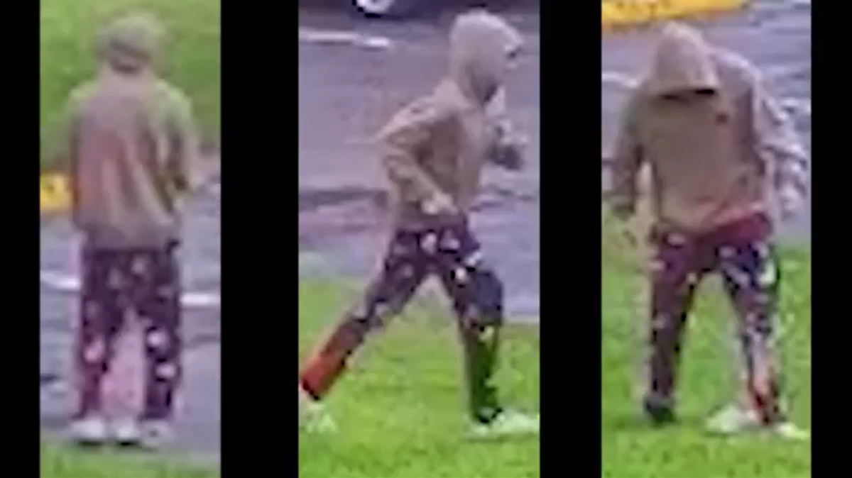 Adolescente encarcelado tras masturbarse en público y agredir a una mujer en Weston, según la policía.