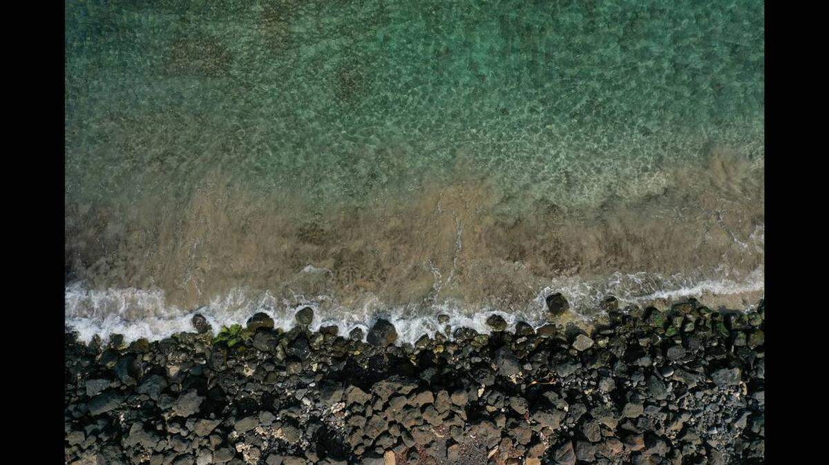 Una criatura de 3 pies de largo y “altamente venenosa” fue encontrada en una playa de Hawái, dijeron las autoridades. Foto de Tyler Casey en Unsplash.