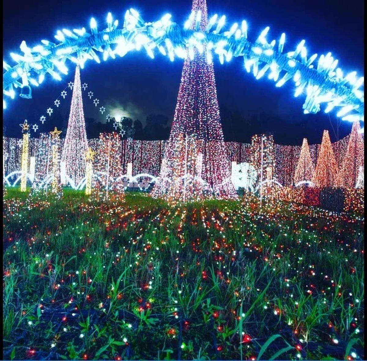 Luces navideñas en una exhibición deslumbrante en Plantation Acres.
