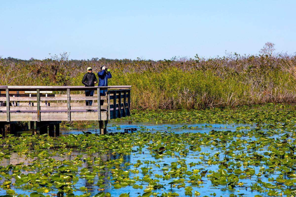 Un sendero de 1,000 millas de largo que conecta Big Cypress en la punta del sur de Florida con Pensacola en el norte.
