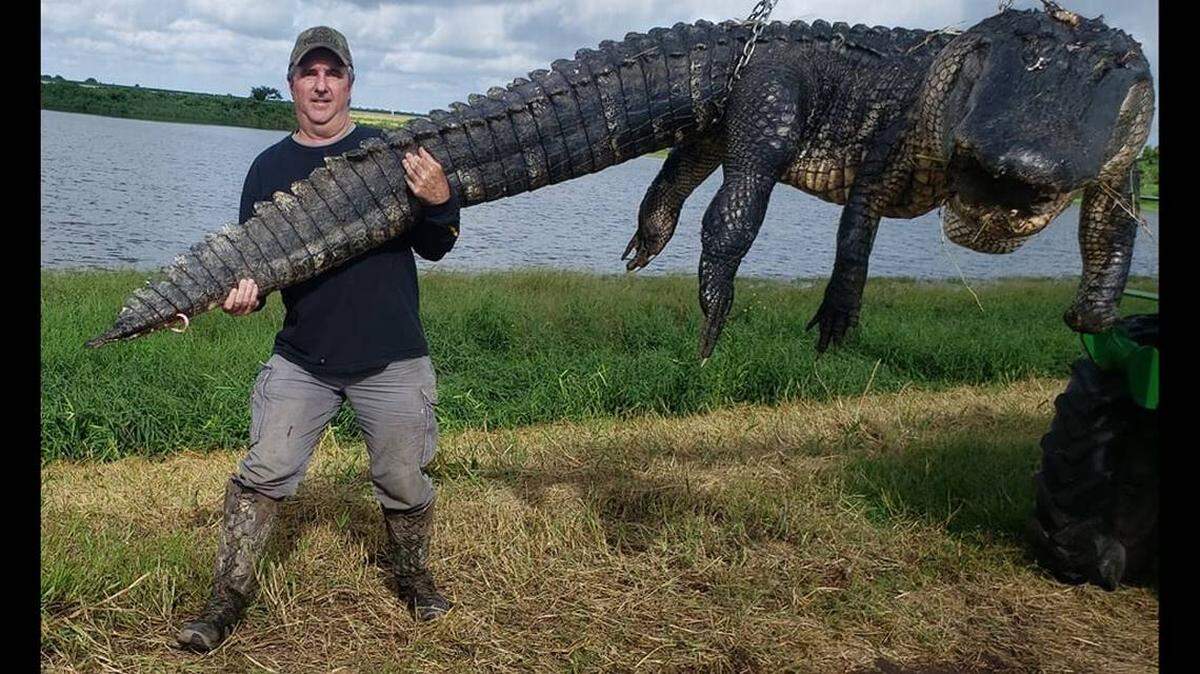 Doug Borries, guía profesional de caza reportó haber matado en el lago a un cocodrilo de 13 pies y cuatro pulgadas y con un peso de 905 libras.
