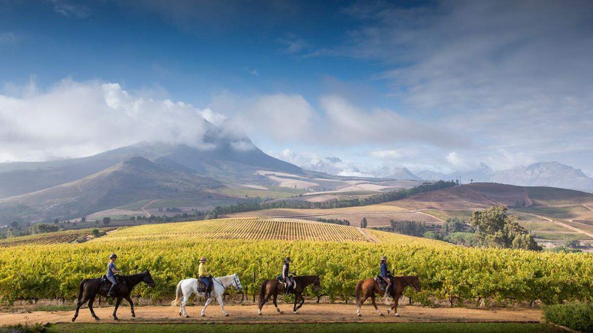  “Recorrer el entorno de las Tierras de los Vinos del Cabo Occidental, una de las zonas más bellas del “país del arcoiris”, montando a caballo a través de algunos de los viñedos más conocidos de Sudáfrica, es una experiencia mágica”, según Turismo de Sudáfrica.