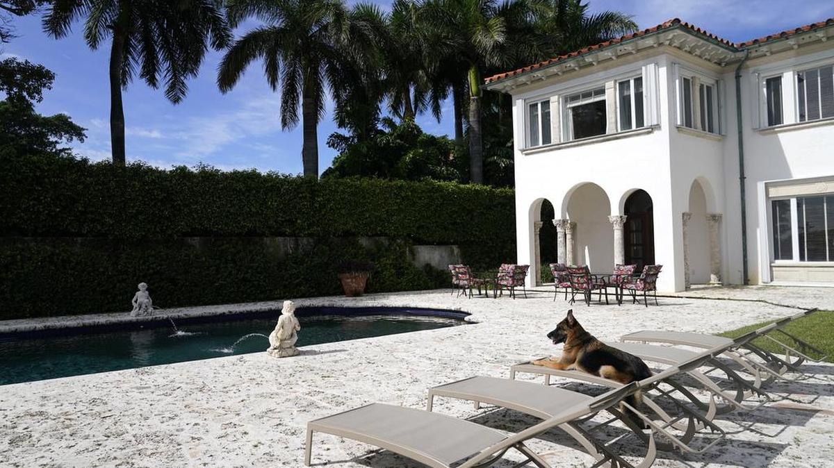 El pastor alemán Gunther VI se sienta junto a la piscina en una casa el lunes 15 de noviembre de 2021 en Miami.(Foto AP / Lynne Sladky)
