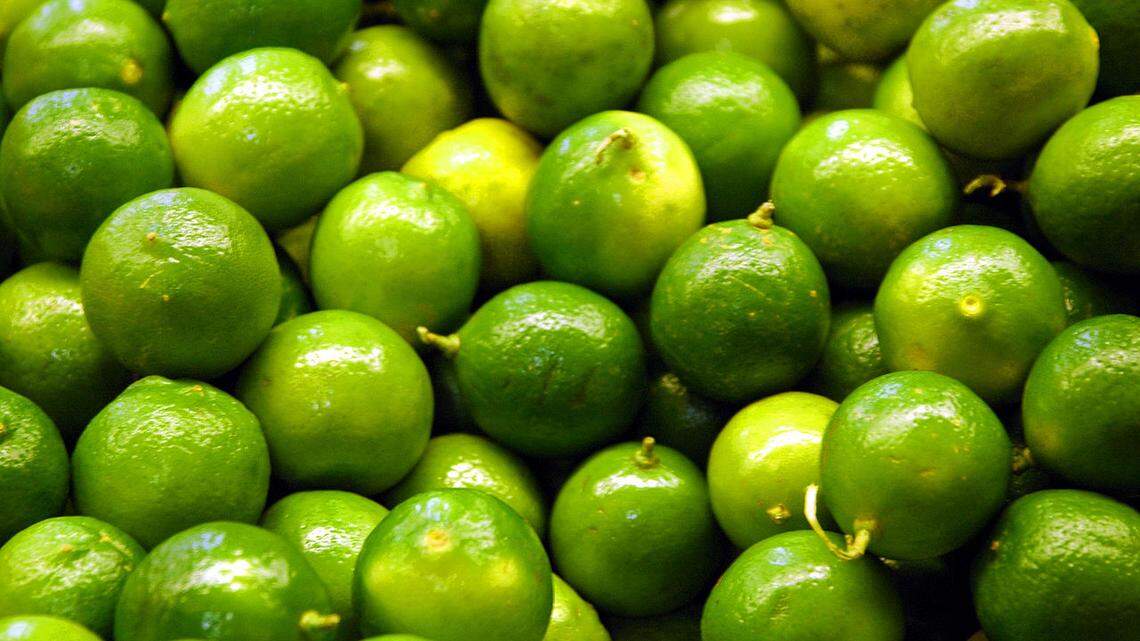 Cuba presume de crear limones “vigorosos” en plena crisis alimentaria.