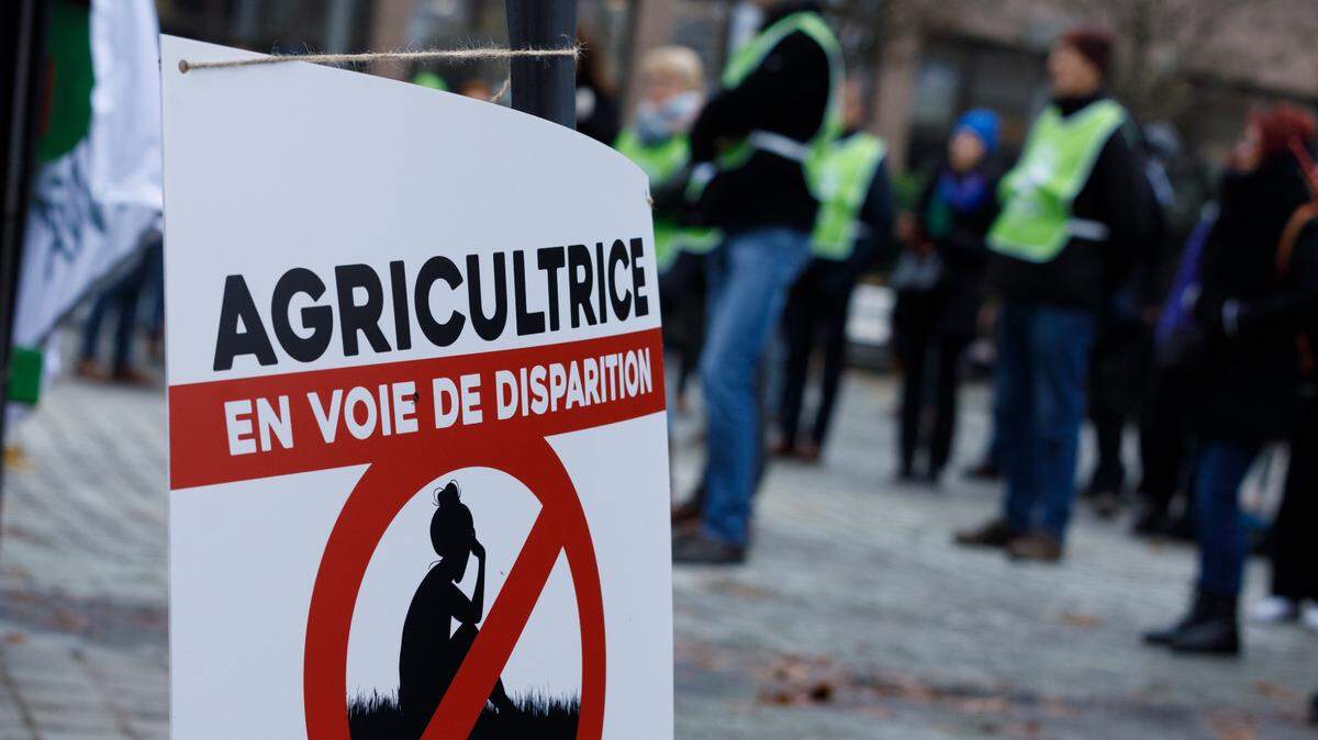 Una pancarta que dice “Agricultor al borde de la desaparición” es usada en una protesta en contra del tratado comercial entre la Unión Europea y Mercosur, en Bruselas, Bélgica, el lunes 9 de diciembre de 2024.