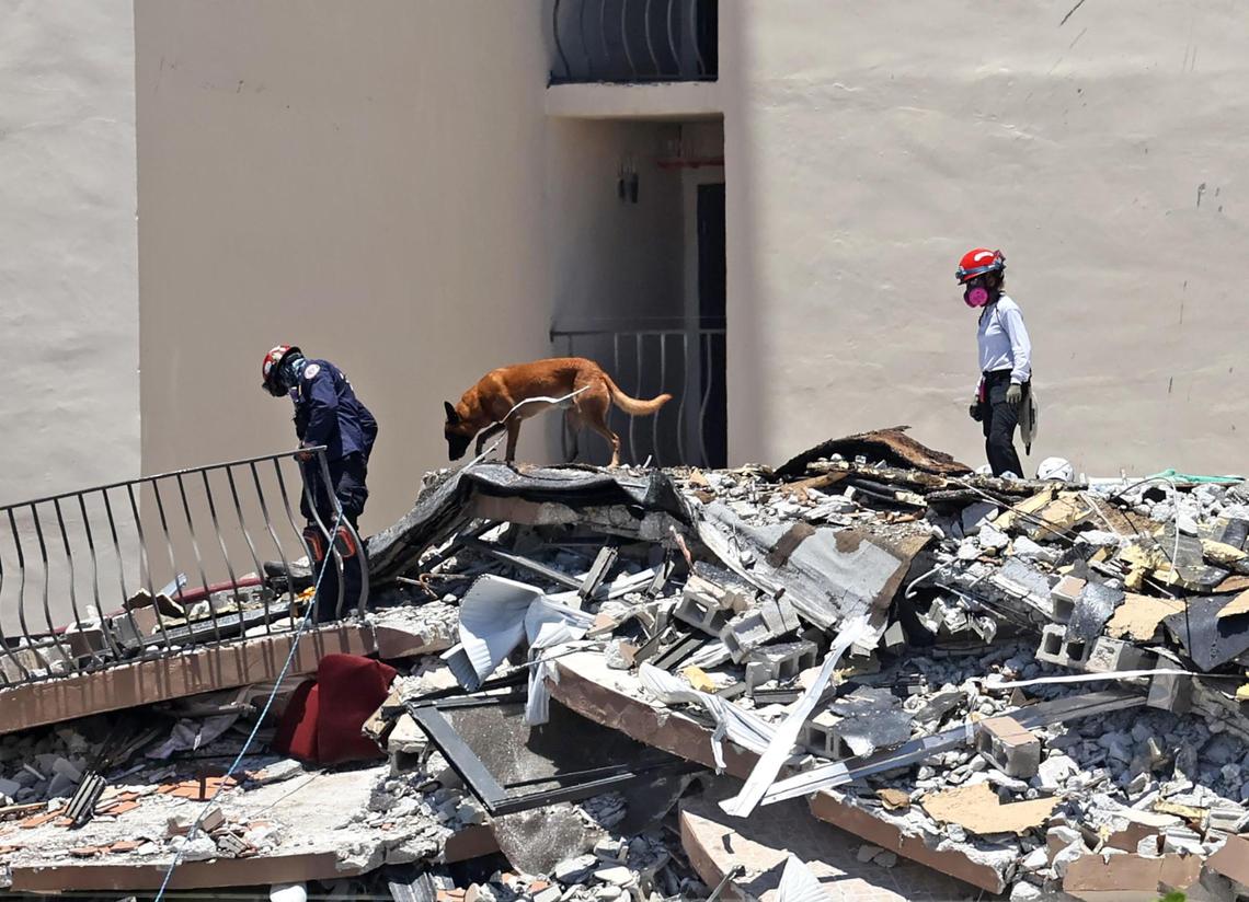 El personal de búsqueda y rescate busca sobrevivientes entre los escombros con sus perros de la unidad K-9 en Champlain Towers South en Surfside, Florida, el domingo 27 de junio de 2021. El edificio de apartamentos se derrumbó parcialmente el jueves 24 de junio de 2021.